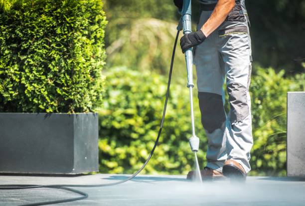 Pre-Holiday Cleaning in Cridersville, OH