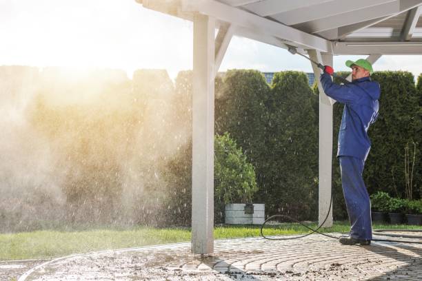 Best Fleet Vehicle Washing  in Cridersville, OH