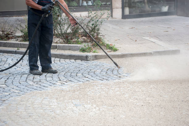 Best Dumpster Area Cleaning  in Cridersville, OH