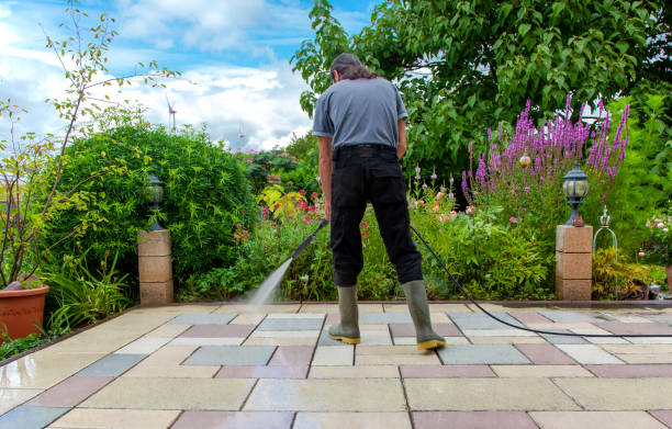 Best Sidewalk and Walkway Cleaning  in Cridersville, OH