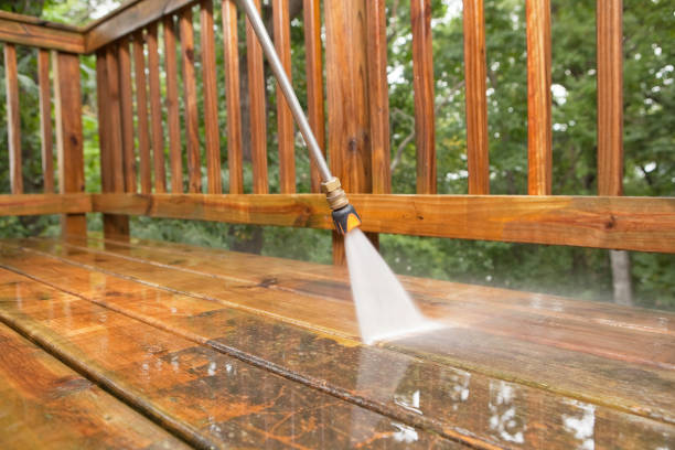 Best Driveway Pressure Washing  in Cridersville, OH